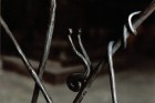 Detail slak
