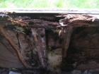 Erbarmelijke toestand binnenkant Buggenhoutse woonwagen